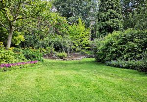 Optimiser l'expérience du jardin à Enencourt-Leage